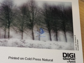 Epson Cold Press Natural - Detalle
