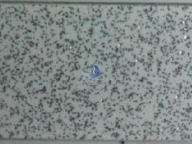 POLI-FLEX Image 0,50mx1m "434 Glitter White"