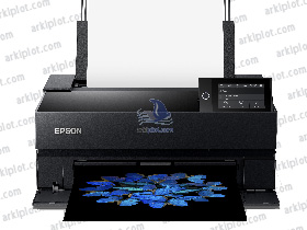 Epson Surecolor SC-P700